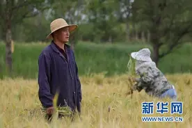 「走向我们的小康生活」针尖对麦芒——青稞与青绣共绘致富蓝图图片