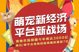 每5秒一场宠物直播 萌宠短视频催生新经济“养活”铲屎官图片