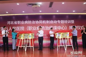 河北省第八人民医院正式揭牌图片
