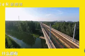 太有“内”味了！澳大利亚萌叔中英文夹杂聊小康，一口一个“我的妈呀”图片