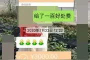 男子同时和“四个女生”谈恋爱，其中一个准备结婚时失踪，最后发现竟是一个已婚女子分饰四角图片