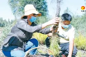 石人子沟采摘季催热乡村游图片