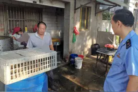 注意！房屋出租被市场监管部门约谈！非法经营房东也有责任图片