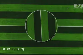 不完美小孩图片