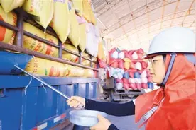 中国粮库长啥样 粮食怎样储存 探“大国粮仓”图片