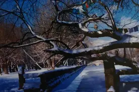 走遍西藏 ①我心中的拉萨图片