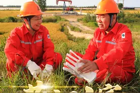 黄河入海流：你可知道每年造出多少土地？图片