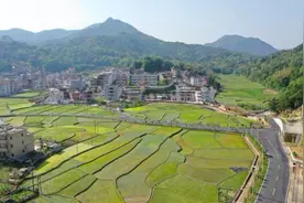 广东这条村出了30多位教授！秘诀在哪里？图片