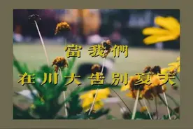 当我们在川大告别夏天图片