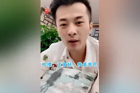 豪掷4.3亿元现金，“快手一哥”辛巴携手合伙人入股起步股份图片