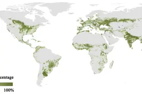 全球耕地有多少？我国科学家研发新一代全球高精度耕地分布制图图片