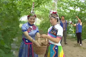 山呼海应，海“是”山盟——浙江以“山海协作”与对口帮扶推进协同发展图片