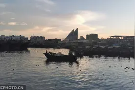 广西北海：渔船归来鱼满舱图片