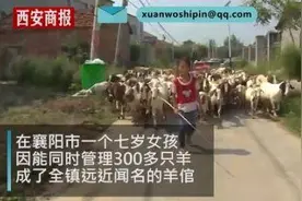 7岁女孩管300只羊走红，妈妈：返乡创业就是为了陪孩子长大图片