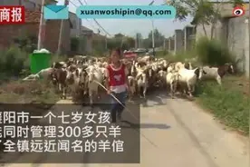 7岁女孩管300只羊走红，妈妈：返乡创业就是为了陪孩子长大图片