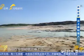 问政山东｜济宁两县交界处河道被倾倒大量锯泥，镇政府称能护坡图片