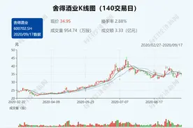 舍得酒业财务负责人李富全被抓 系间接控股股东占用资金一事执行人图片