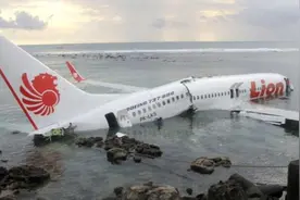 本可避免的悲剧 246页调查报告揭波音与美航空监管之殇图片