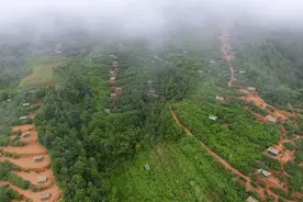 毕节这群“土豪鸡”，都住山顶别墅图片