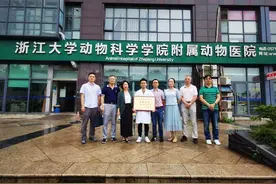 猫猫狗狗生病了，杭州哪家动物诊疗机构更靠谱？看星级就知道了图片