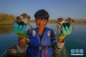 买买江·艾尼：我在“死亡之海”抓螃蟹图片