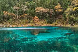 初秋，与神话九寨的浪漫之约图片