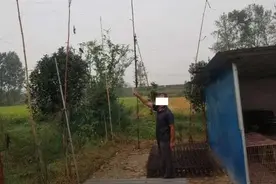 又是非法捕猎惹的祸！息县男子猎杀3只野生八哥被采取刑事强制措施图片