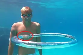 西班牙潜水者拍到一只水母被困在气泡环中快速旋转图片