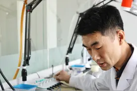 神奇中医保护宠物健康图片