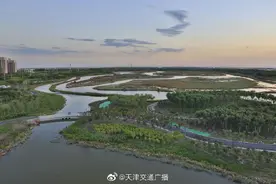 天津 又一湿地公园即将完工图片