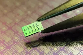 比血细胞还小：科学家打造出全球最小超音波探测器图片