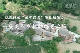 奋斗的幸福丨让沉睡的“闲置农宅”焕发新活力——一座美丽乡村的蝶变之旅视频封面