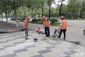 园林部门精心做好市政亮化管养 不断提升城市形象品质图片