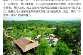 周末安排！连云港这些好地方，藏不住了图片