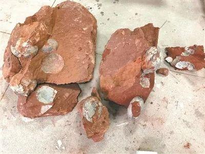 迷你恐龙破解版（没挖过恐龙蛋）