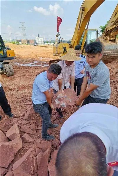 没挖过恐龙蛋，都不好意思说是河源人