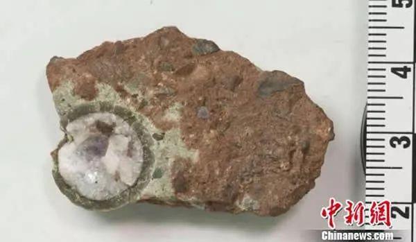 没挖过恐龙蛋，都不好意思说是河源人