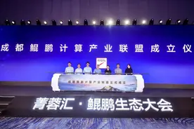 “创业天府·菁蓉汇·鲲鹏生态大会”成功举办 共赢计算新时代图片