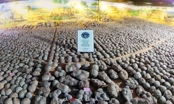 没挖过恐龙蛋，都不好意思说是河源人