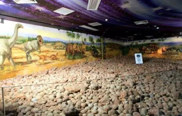 没挖过恐龙蛋，都不好意思说是河源人