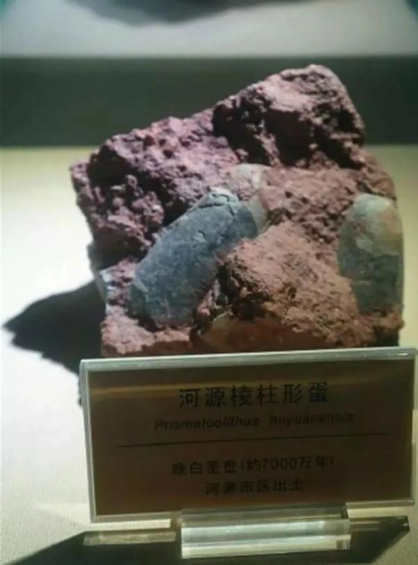 没挖过恐龙蛋，都不好意思说是河源人