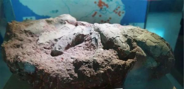 没挖过恐龙蛋，都不好意思说是河源人