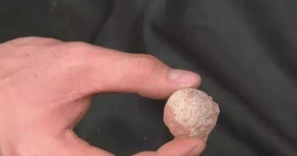 没挖过恐龙蛋，都不好意思说是河源人