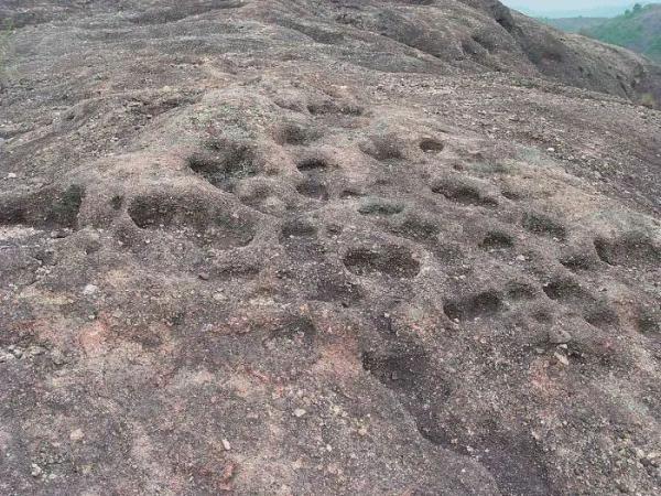 没挖过恐龙蛋，都不好意思说是河源人