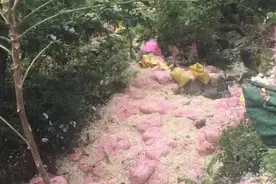 民众路边捡拾掉落物遭货车掩压，这个区域一定要警惕图片