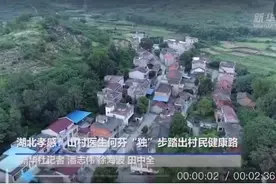 大山里的“单腿”天使图片