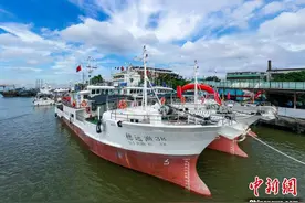 3艘金枪鱼延绳钓渔船广州交付 11月将赴中西太平洋作业图片