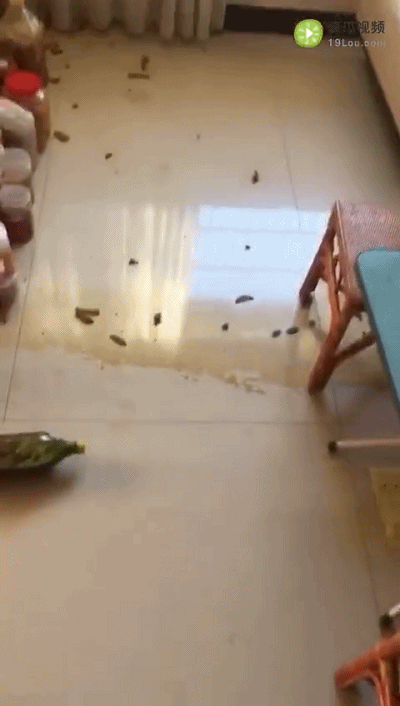 酵素不能减肥更不能抗癌！自制酵素还可能引发爆炸......