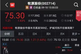 太突然！机构跌停价狂卖15亿……河南首富身家缩水468亿图片