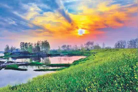 行走中的食物散记图片